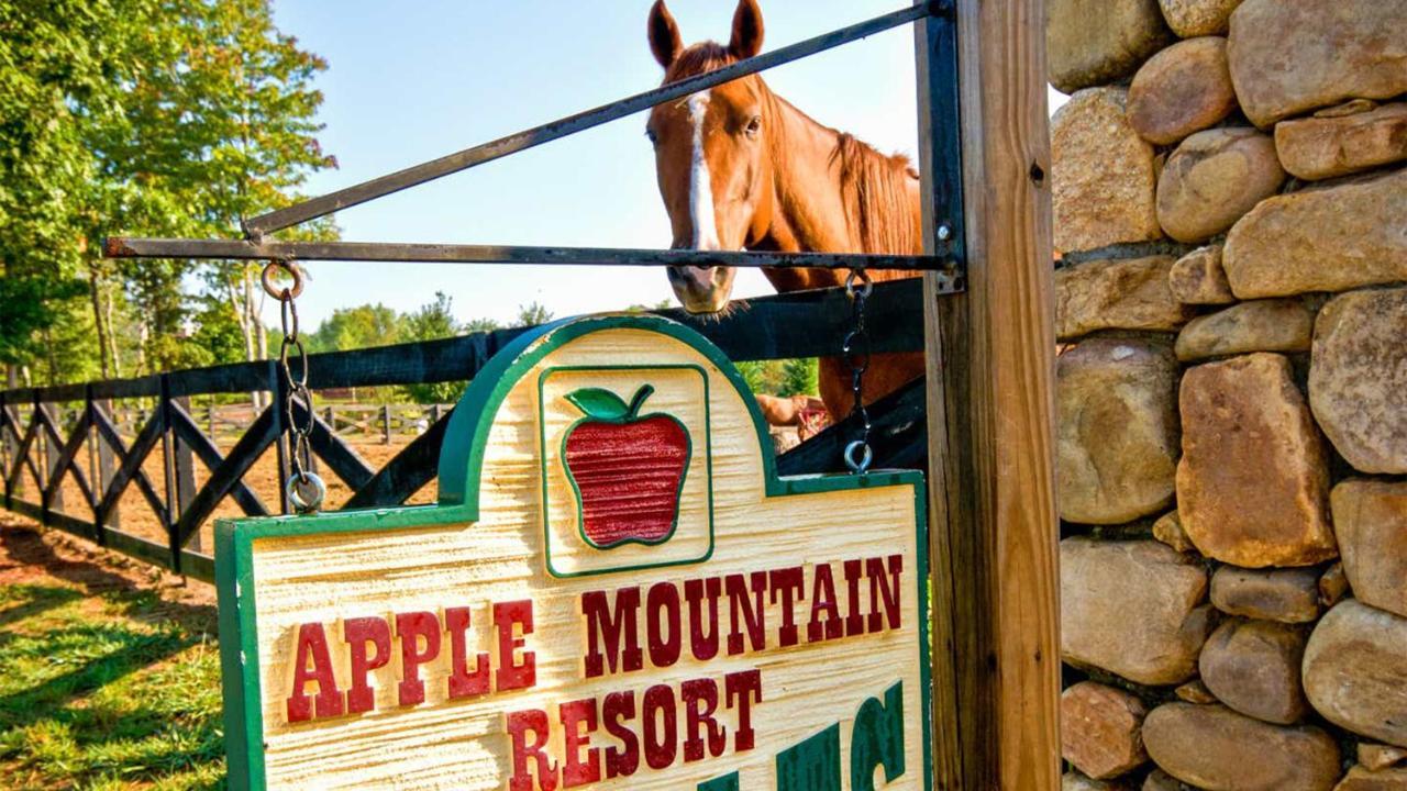 Holiday Inn Club Vacations Apple Mountain Resort At Clarkesville Esterno foto